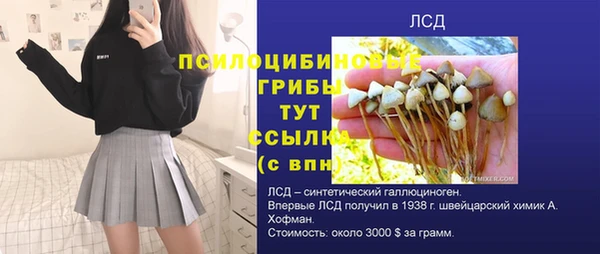 стафф Аркадак