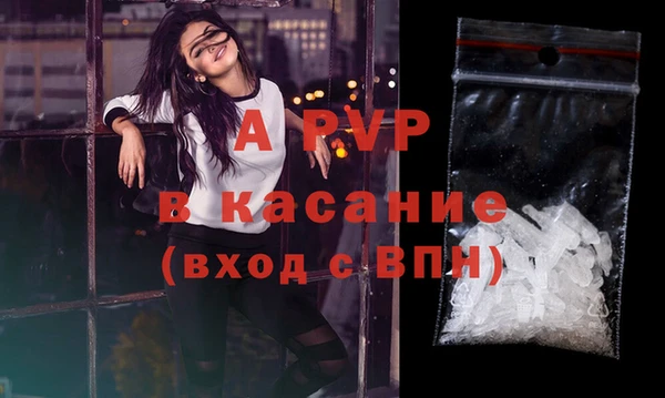 стафф Абаза