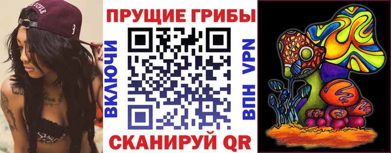 продажа наркотиков  Новопавловск  Галлюциногенные грибы Cubensis 