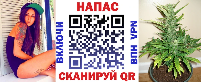 Конопля планчик Новопавловск